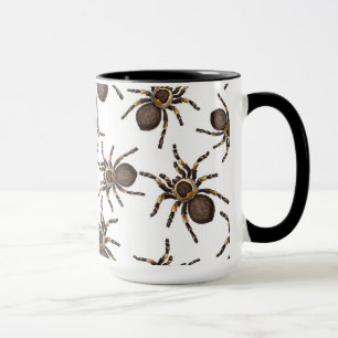 Tarantula på vitt mugg