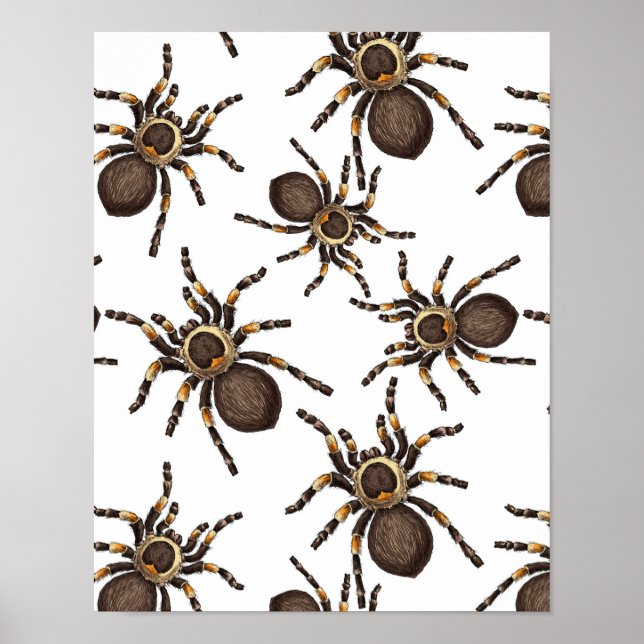 Tarantula på vitt poster (Framsidan)