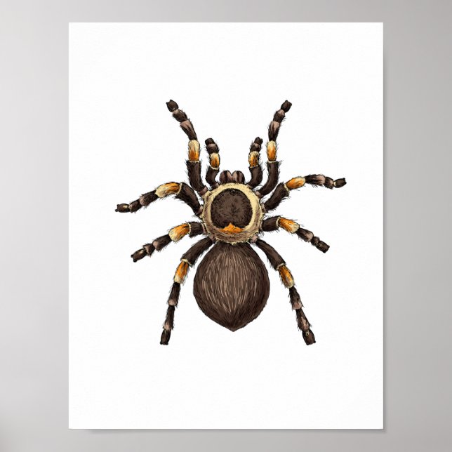 Tarantula Poster (Framsidan)