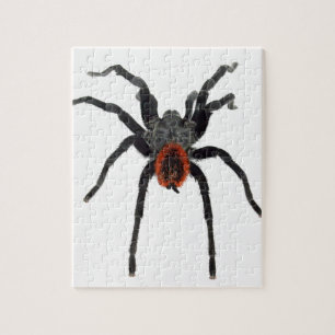 Tarantula Pussel