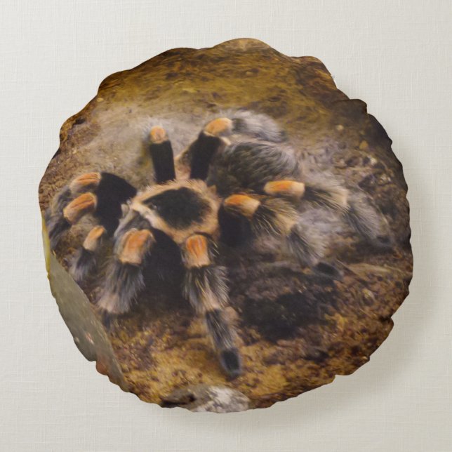 Tarantula Round Pillow Rund Kudde (Baksidan)