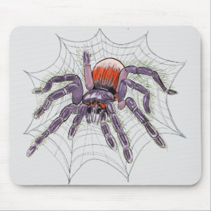Tarantula Spider Creepy Original Teckning Musmatta