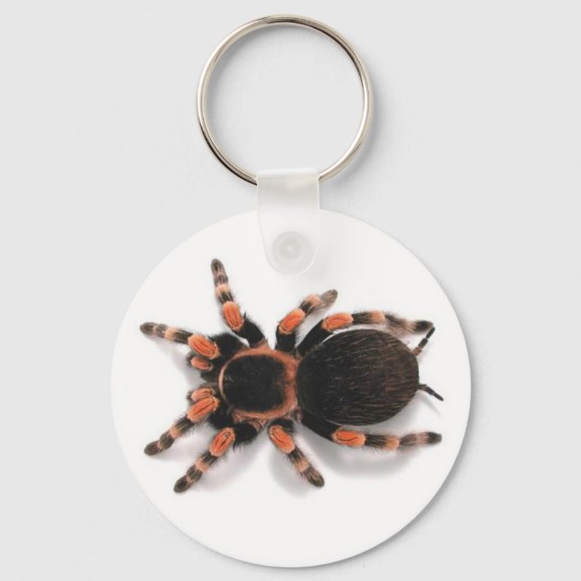 TARANTULA SPIDER KEYCHAIN NYCKELRING (Framsida)