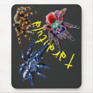 Tarantula spinder, blå spindel, röd spindel, spi musmatta
