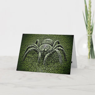 Tarantula spinder - hälsningskort tack kort