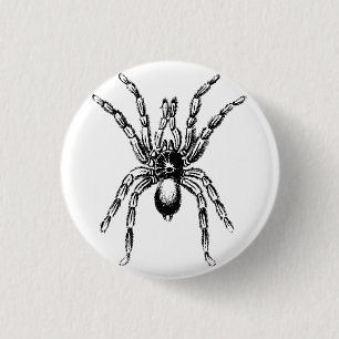 tarantula spinder knapp