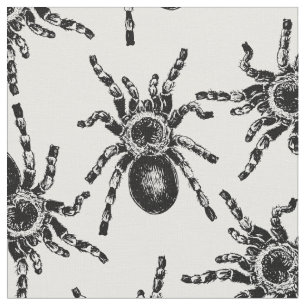 Tarantula Tyg