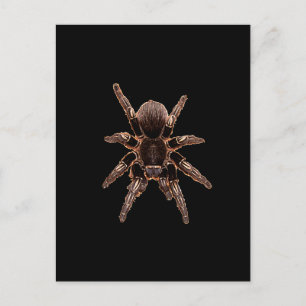 Tarantula Vykort