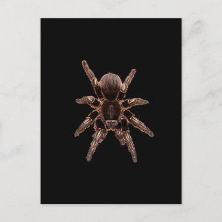 Tarantula Vykort