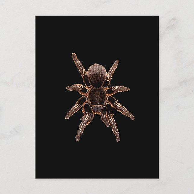 Tarantula Vykort (Framsida)