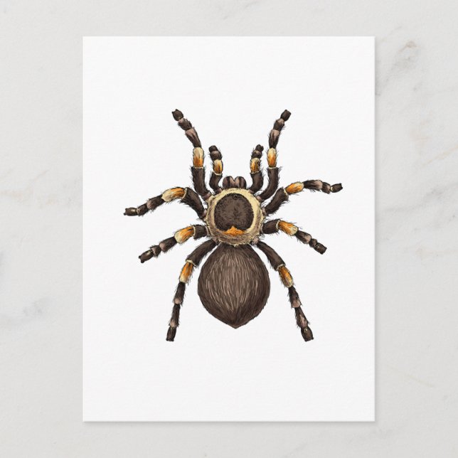 Tarantula Vykort (Framsida)