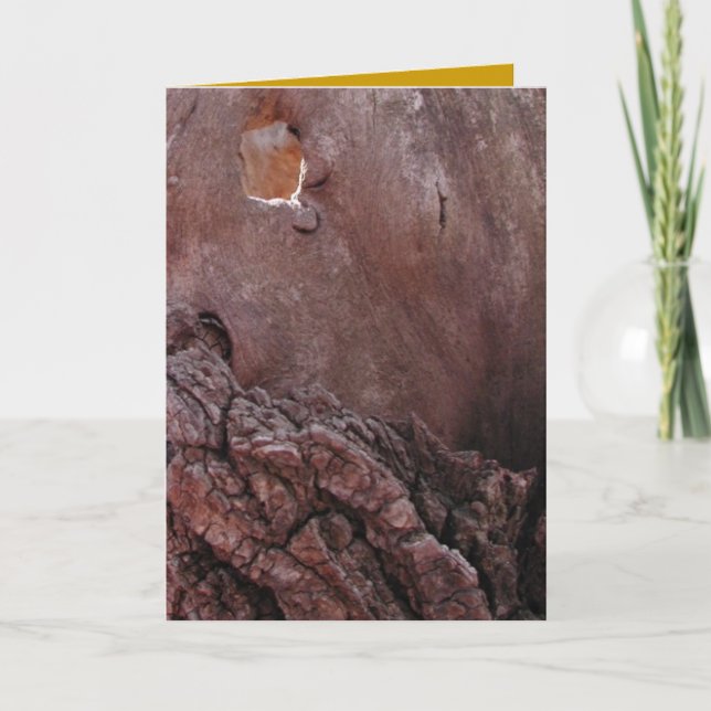 Tårar Kort (Framsida)