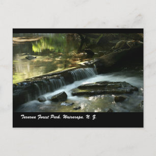 Tararua Forest Park, Wairarapa, N. Z. Vykort