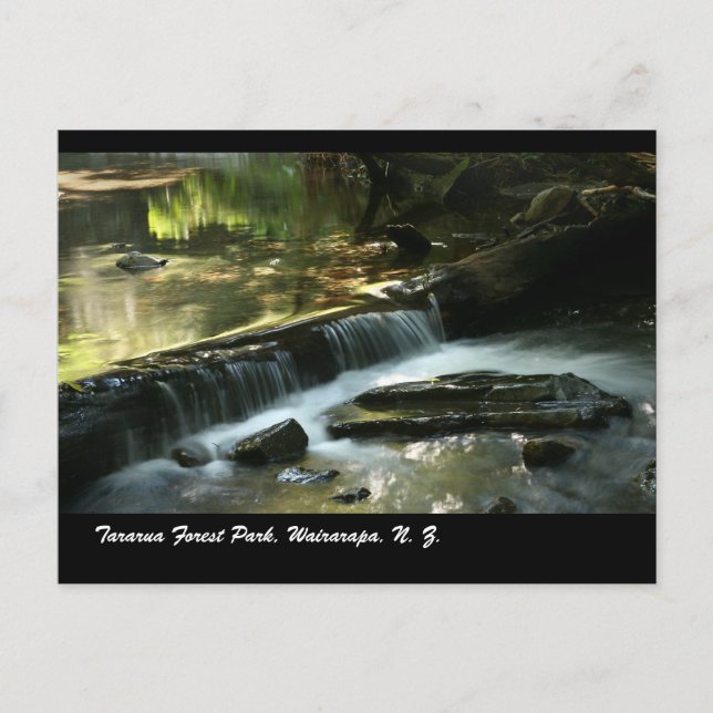 Tararua Forest Park, Wairarapa, N. Z. Vykort (Framsida)