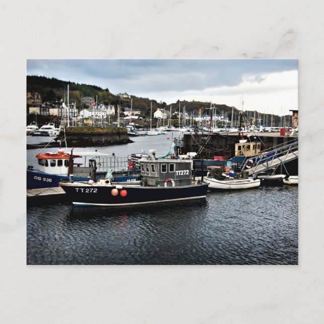 Tarbert Harbour Postcard Vykort (Framsida)