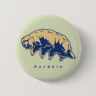 Tardigrade kapitalvara - knapp