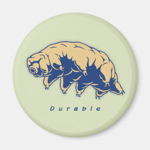 Tardigrade kapitalvara - magnet
