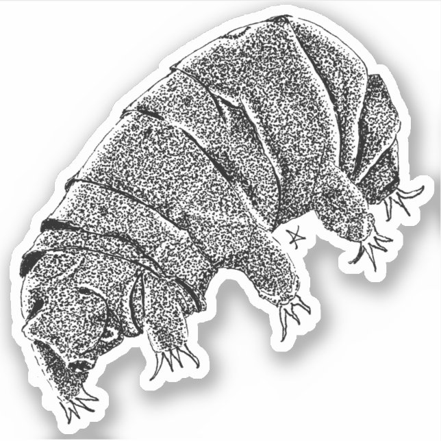 Tardigrade Klistermärken (Framsida)