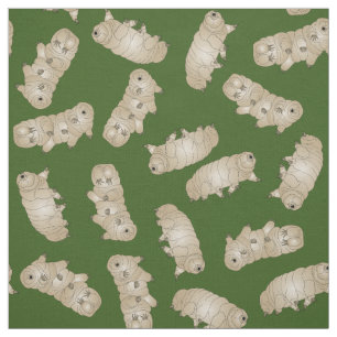 Tardigrade Vatten Bear Moss Gris Tyg