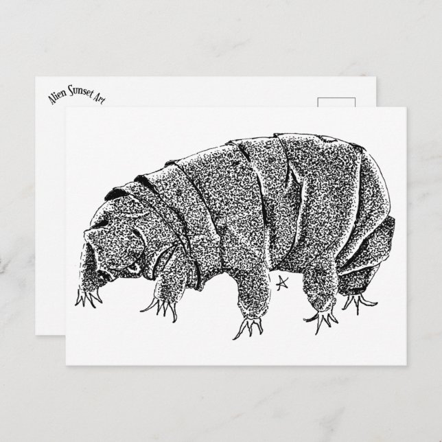 Tardigrade Vykort (Fram/baksida)