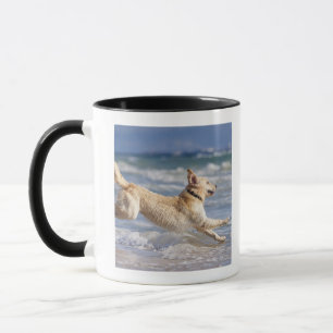 tarifa cadiz, andalusia, spain mugg