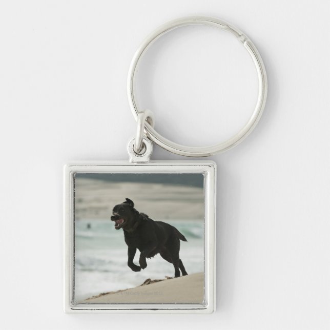 Tarifa Cadiz, Andalusia, Spanien Fyrkantig Silverfärgad Nyckelring (Framsidan)