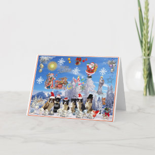 Tarjeta de navidad Gräns Collie Helgkort