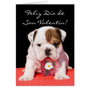 Tarjeta de San Valentin con cachorro bulldog Hälsningskort