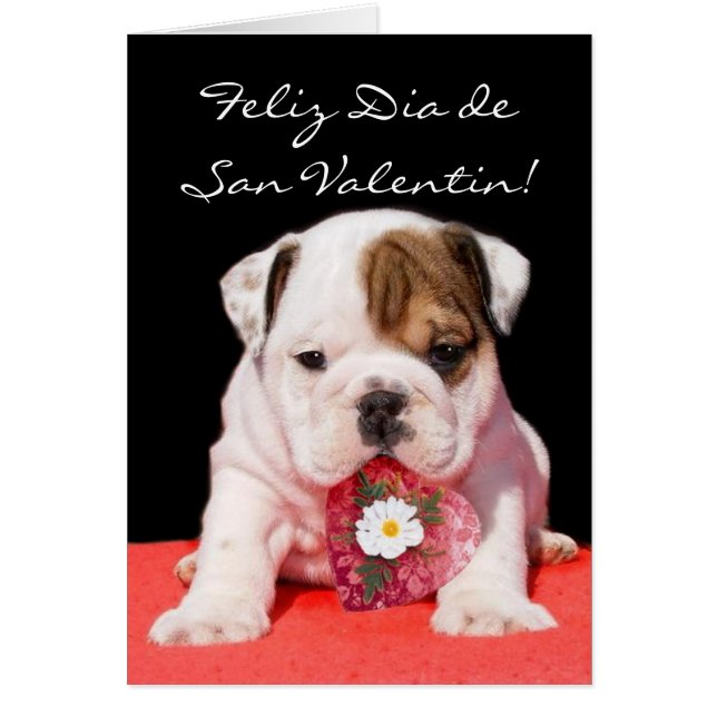 Tarjeta de San Valentin con cachorro bulldog Hälsningskort (Framsidan)