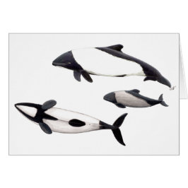 Tarjeta Delfin de Commerson o tonina ovejera Hälsningskort