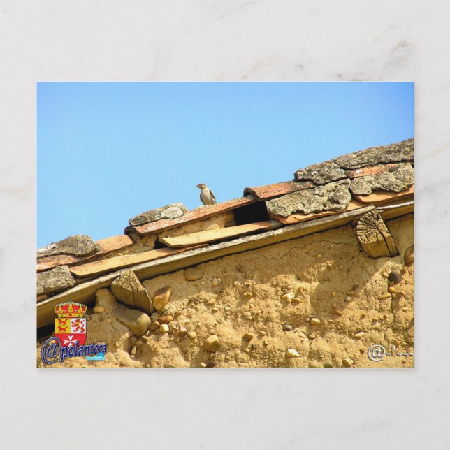 Tarjeta Post Vykort (Framsida)