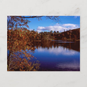 Tarn Hows bright Autumn Day Sjö District England Vykort