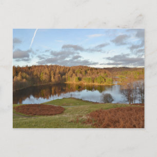 Tarn Hows - Engelska Sjö-distriktet Vykort