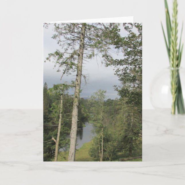 Tarn Hows Träd Kort (Framsida)