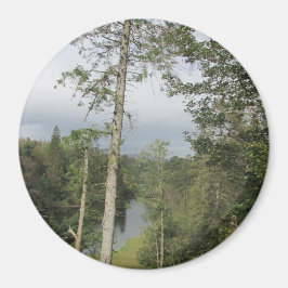 Tarn Hows Träd Magnet