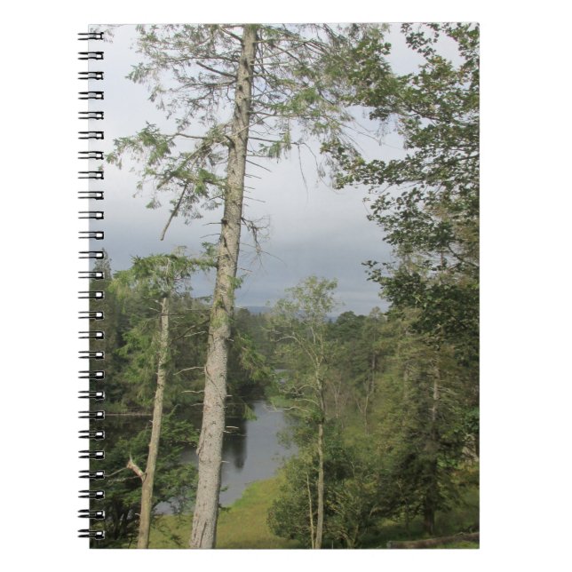 Tarn Hows Träd Spiral bärbar dator Anteckningsbok (Framsidan)