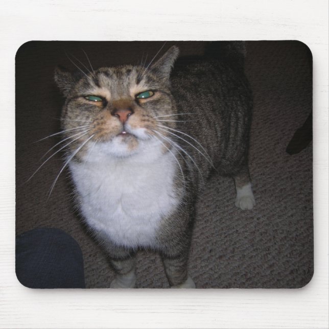 Tarna Musmatta (Framsidan)