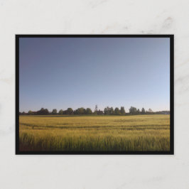 Tarnowskie Góry (Polen) Vykort