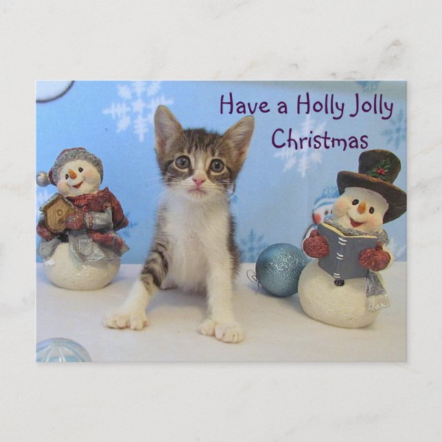 Tarominas Holly Jolly-jul - Katt/Kitten Helg Vykort (Framsida)