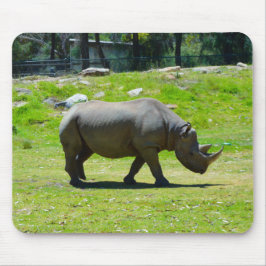 Taronga Western Plains Zoo Dubbo - Rhino Musmatta