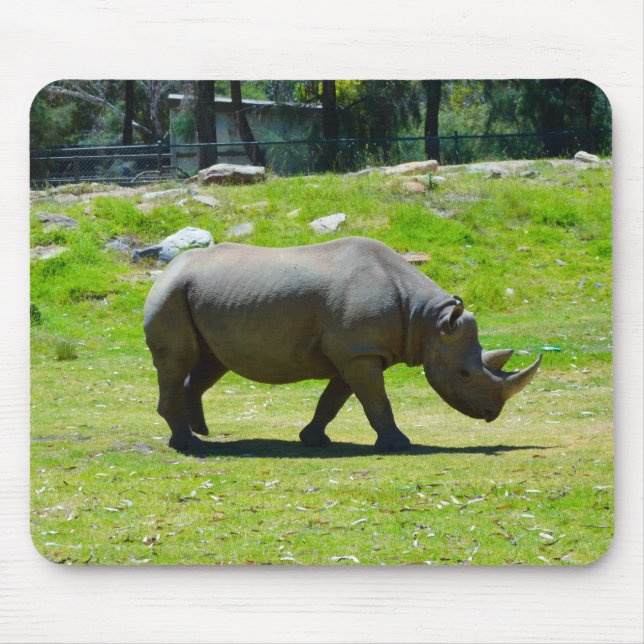 Taronga Western Plains Zoo Dubbo - Rhino Musmatta (Framsidan)