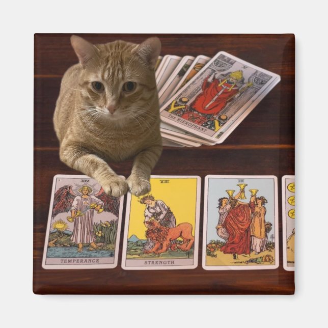 Tarot Cat Magnet (Framsidan)