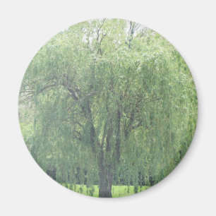 Tårpil Magnet