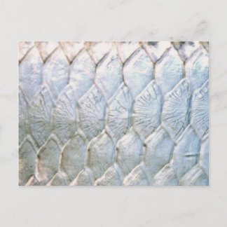Tarpon by PatternWear© Vykort