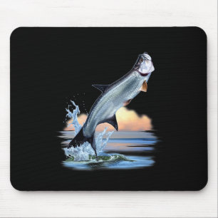 Tarpon Fish Fresh Vatten Wildlife Hunting Fishing Musmatta