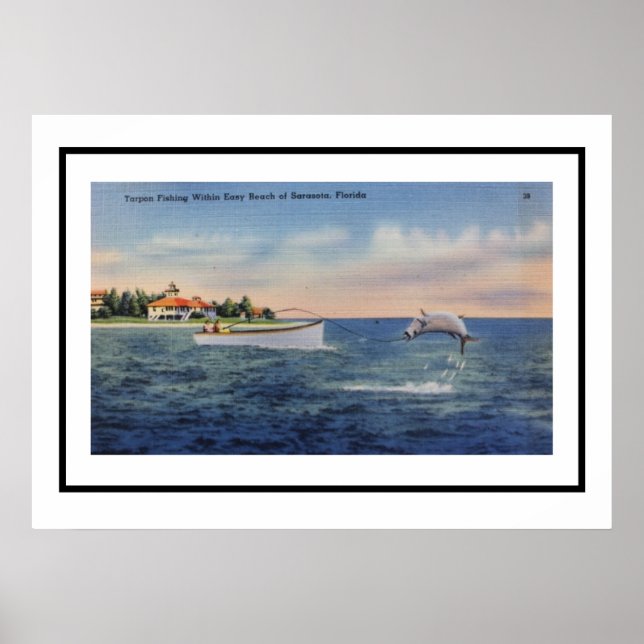 Tarpon Fishing Sarasota 20 x 28 Poster (Framsidan)