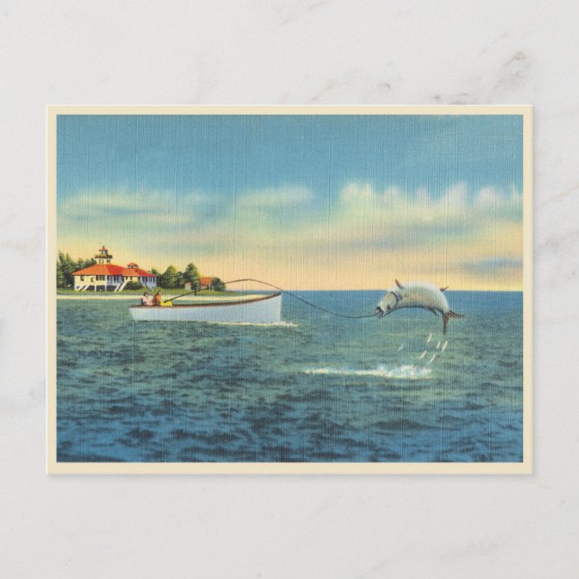 Tarpon-fiske i Florida-vintagen Vykort (Framsida)