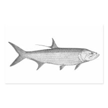 Tarpon-Logotyp (konturkonst)
