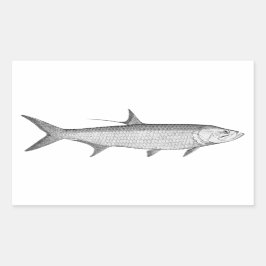 Tarpon-Logotyp (konturkonst) Rektangulärt Klistermärke