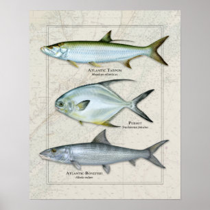 Tarpon, Permit, Bonefish Trio Poster